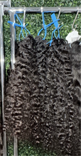 Load image into Gallery viewer, Burmese Curly
